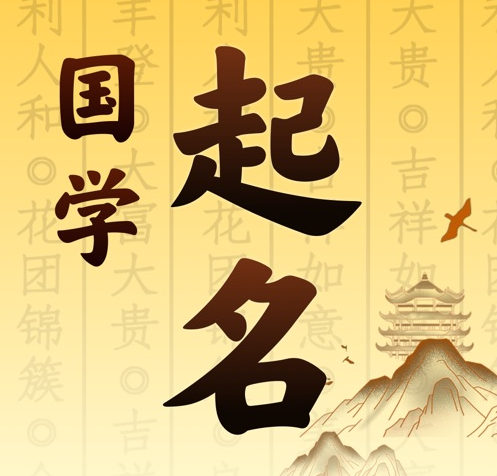 青阳国学起名 人工起名一对一